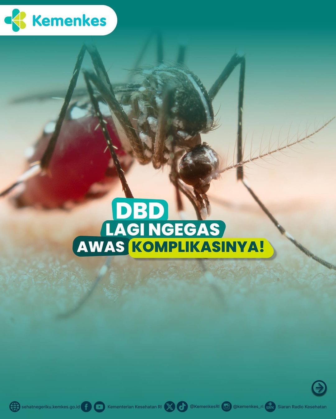 Geram Adanya Balita Meninggal Dunia, Ormas WJI Subrayon Pantai Hurip Serang Sarang Nyamuk Aedes Aegepty