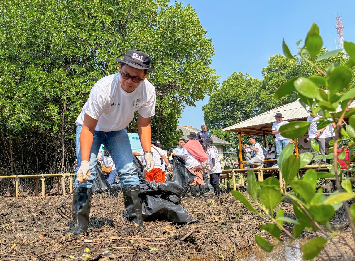 1000 Bibit Mangrove Ditebar Dalam Giat Coastal Clean Up Oleh PLN NP UP Muara Tawar Di Desa Hurip Jaya Babelan