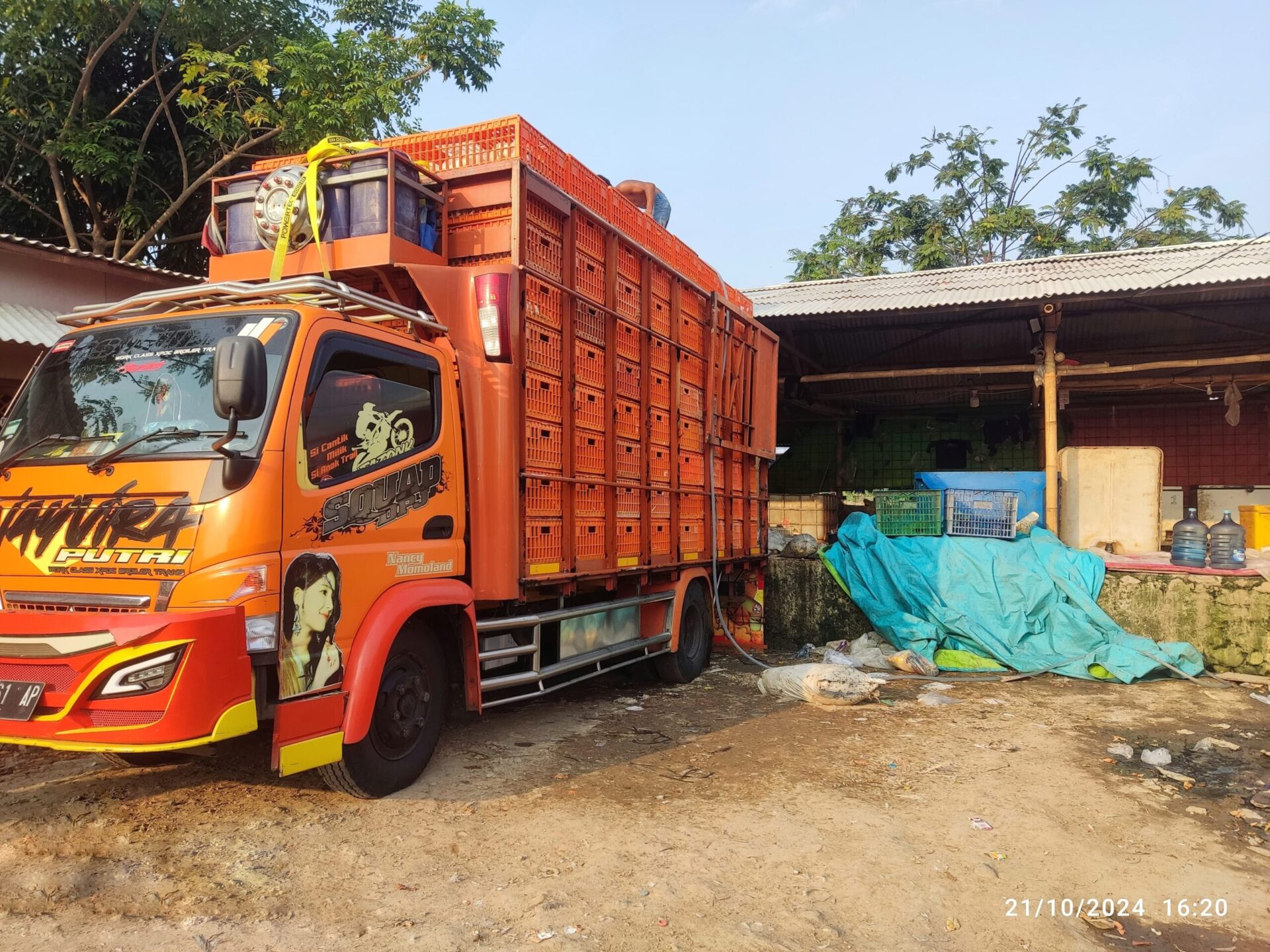 Hanya Mengantongi Ijin SKU, Rumah Pemotongan Ayam Di Desa Muara Bakti Terus Beroperasi