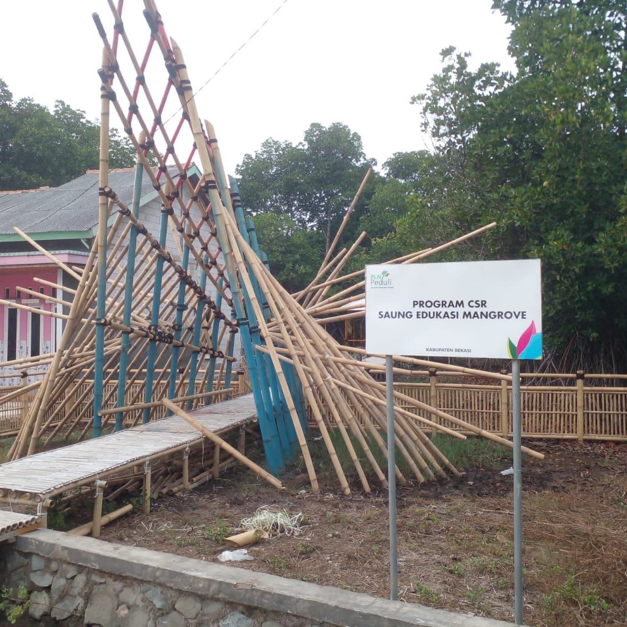 PLN NP Muara Tawar Kembangkan Sarana Edukasi Mangrove di Desa Hurip Jaya