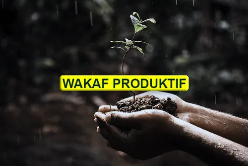 Singkapnewsi Wakaf Produktif