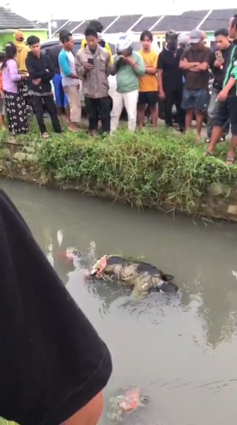 Mayat Tanpa Identitas Ditemukan di Kali Irigasi Tambun Utara